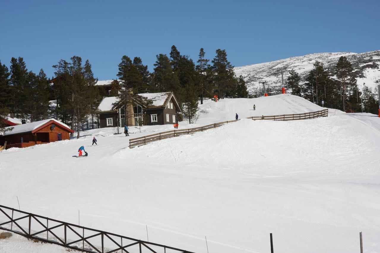 Lemonsjø Fjellstue Og Hyttegrend Hotell Randsverk