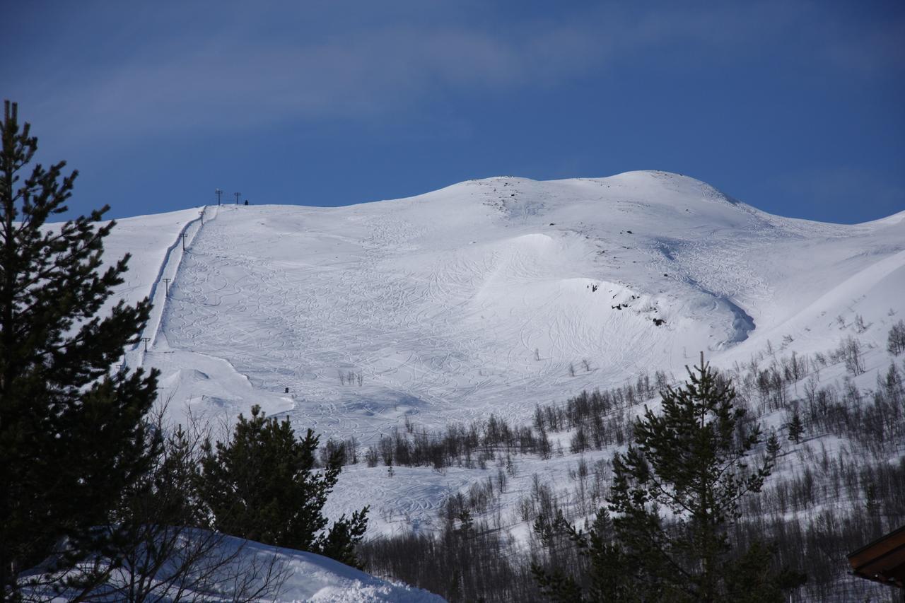 Lemonsjø Fjellstue Og Hyttegrend Randsverk