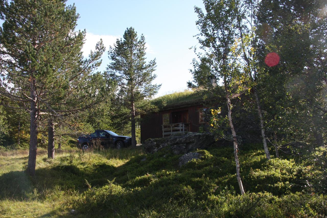 Hotell Lemonsjø Fjellstue Og Hyttegrend Randsverk