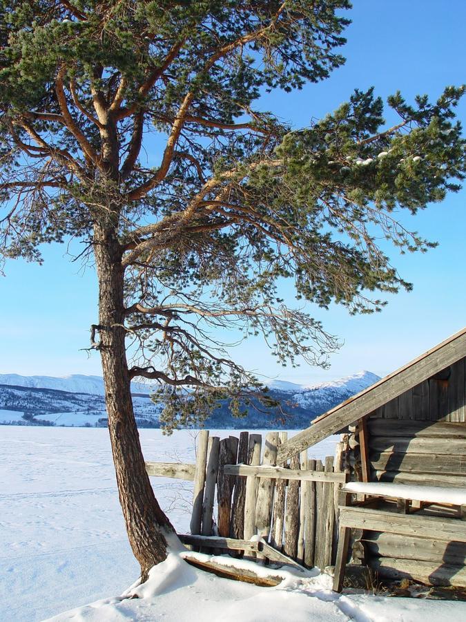 Lemonsjø Fjellstue Og Hyttegrend Randsverk